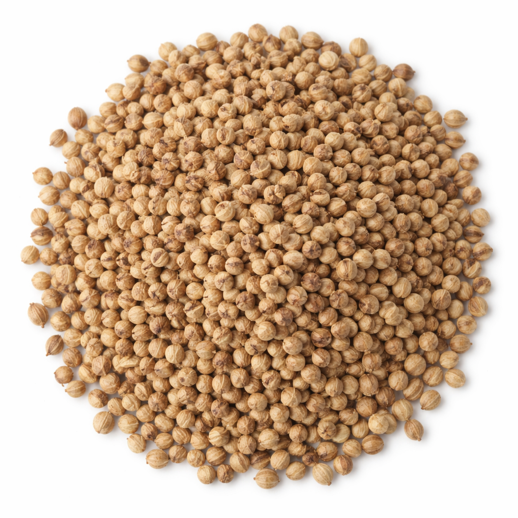 040. RENSO Dried Coriander Seed (2.27kg, 4 bags/case)