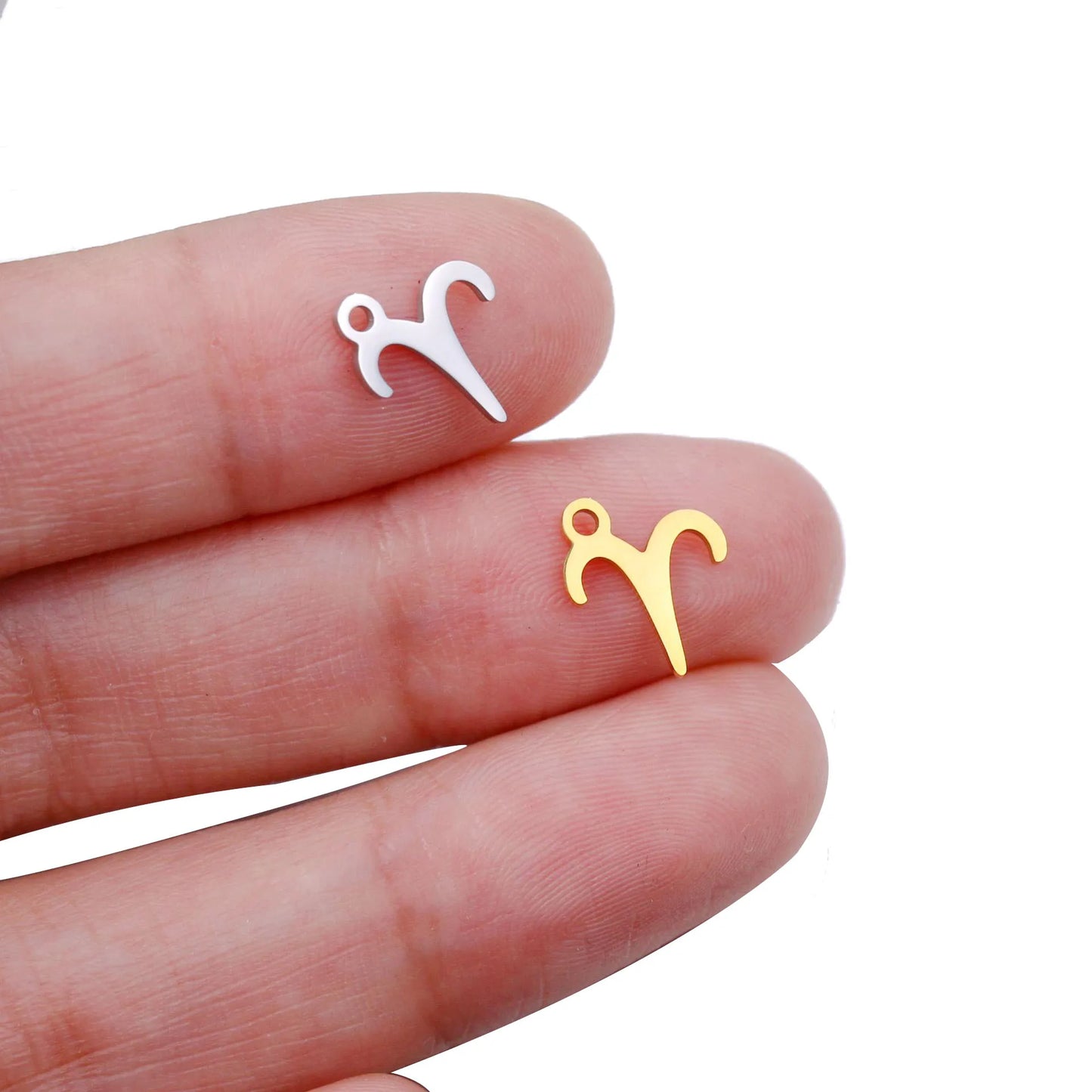 12pcs/lot 9.5*9.5mm Mirror Polished Stainless Steel Zodiac Charms Constellations Charms For DIY Bracelet Making