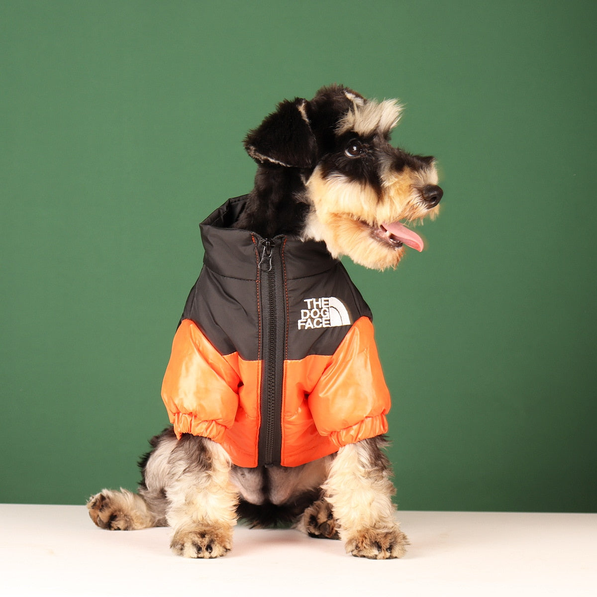 Grands vêtements d'hiver pour chiens de compagnie, bouledogue français, chiot, veste chaude coupe-vent, petit et moyen chien, manteau réfléchissant, tenues pour animaux de compagnie Chihuahua