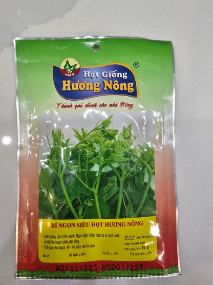 Pumpkin Vine Seeds - High Leaf & Shoot Yield (Bí Ngọn Siêu Đọt Hương Nông)