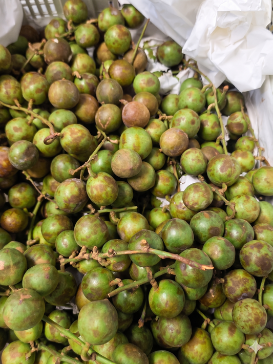 Premium Vietnamese Burmese Grapes (Dâu Da) - Fresh & Tangy
