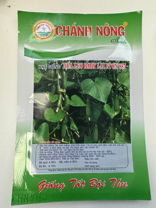 Chánh Nông - Premium Baby Cucumber F1 (Dưa Leo Baby Lai CN 887)