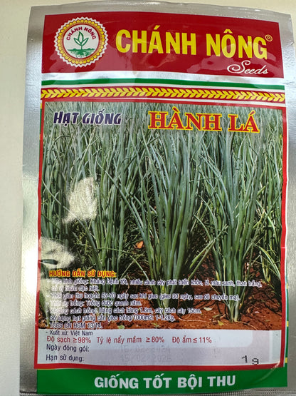 Chánh Nông – Premium Scallion Seeds (Hành Lá)