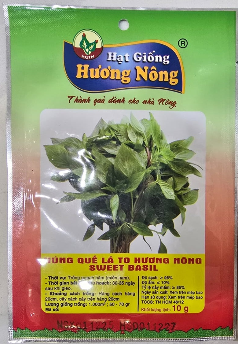 Hạt Húng Quế Lá To Hương Nông