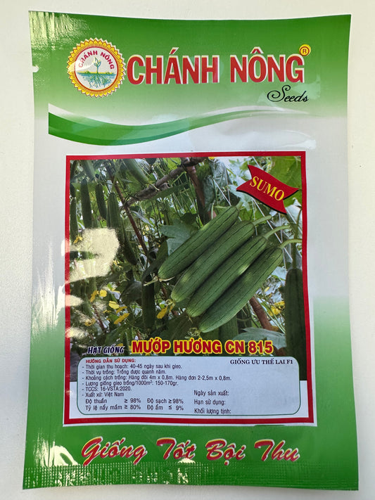 Chánh Nông - Luffa CN815 Hybrid Seeds - Mướp hương CN815 - Fragrant Sponge Gourd (SUMO Variety)