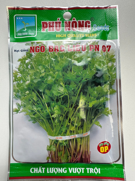 Coriander Seeds (Cilantro) Ngò Bạc Liêu Phú Nông 07