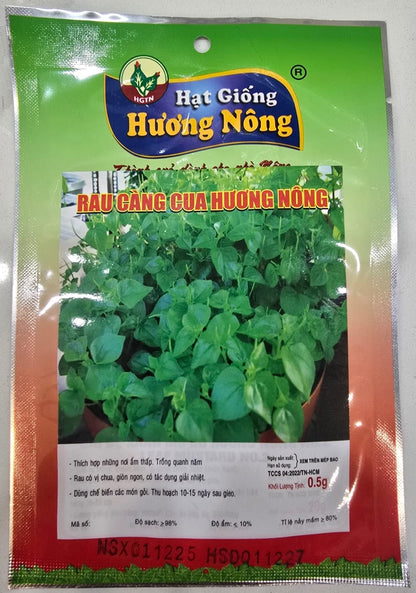 Peperomia Pellucida Seeds - Crab Claw Herb (Rau Càng Cua Hương Nông)
