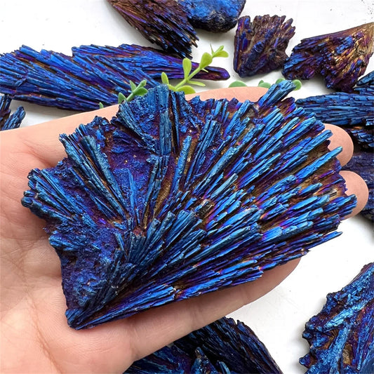 Natural Black Tourmaline Peacock Feather Electroplated Crystal Healing Reiki Mineral Specimen Rainbow Rocks Diy Home Decoration