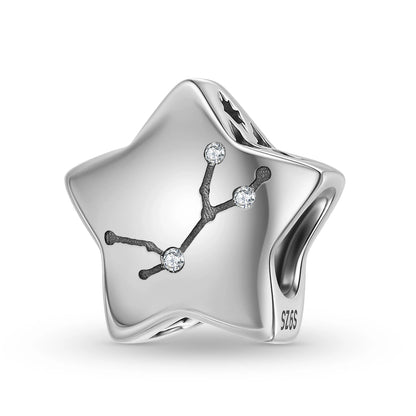 Plain Silver Zircon Lines 925 Sterling Silver 12 Zodiac Signs for Charm Beads Fit Original Bracelet Diy Jewelry Accessories