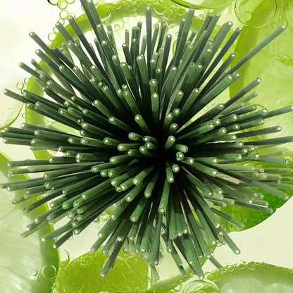 22CM Fragrance Lemongrass Incense Stick Incense Is Suitable for Home Office To Remove Odor and Lasting Fragrance