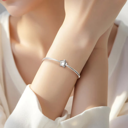 Plain Silver Zircon Lines 925 Sterling Silver 12 Zodiac Signs for Charm Beads Fit Original Bracelet Diy Jewelry Accessories