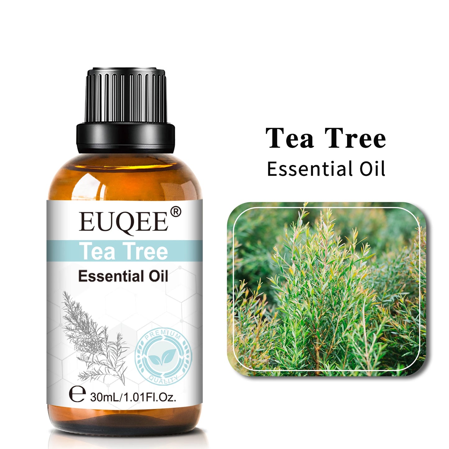 30ML Pure Essential Oil Vanilla Lavender Mint Rose for Aromatherapy Humidifier Scent Candle Frankincense Patchouli Fragrance Oil