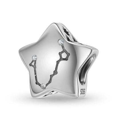 Plain Silver Zircon Lines 925 Sterling Silver 12 Zodiac Signs for Charm Beads Fit Original Bracelet Diy Jewelry Accessories
