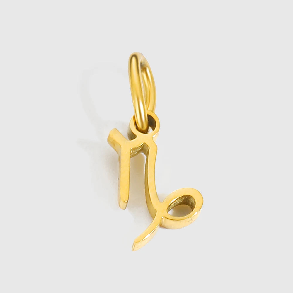 12 signes du zodiaque Pendentif Accessoires Collier Constellation en Acier Inoxydable Cadeau d'Anniversaire