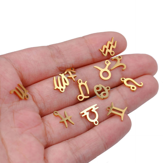 12pcs/lot 9.5*9.5mm Mirror Polished Stainless Steel Zodiac Charms Constellations Charms For DIY Bracelet Making