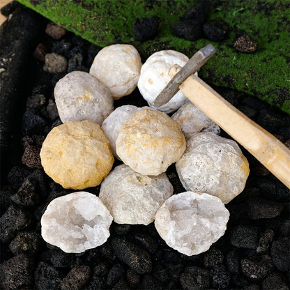 Natural Unopened Agate Geode Raw Crystals Mineral Energy Healing Rough Stones Crystal Cluster Cave Collection Specimen Gift