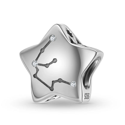 Plain Silver Zircon Lines 925 Sterling Silver 12 Zodiac Signs for Charm Beads Fit Original Bracelet Diy Jewelry Accessories