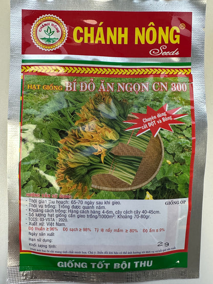 Chánh Nông – Premium Pumpkin Seeds (Bí đỏ ăn ngọn CN 300) - Specialized for Shoots & Flowers