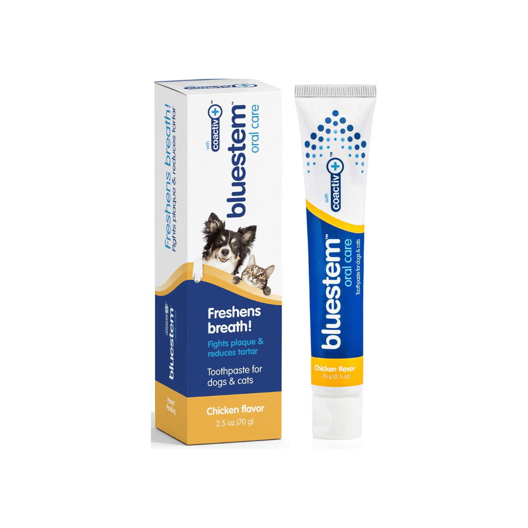 bluestem coactiv+ Toothpaste for Dogs & Cats – Chicken, 70g