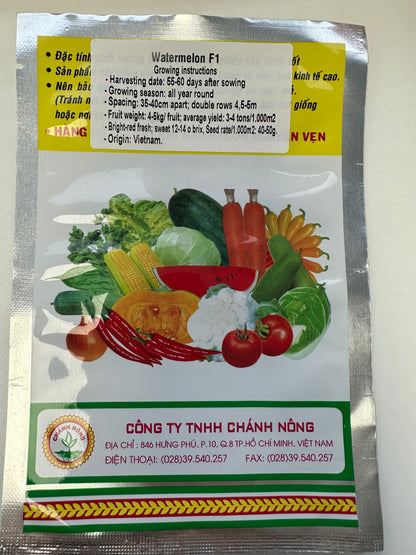 Chánh Nông – Premium Watermelon F1 "Dưa Hấu Tiểu Long" (CN 702)