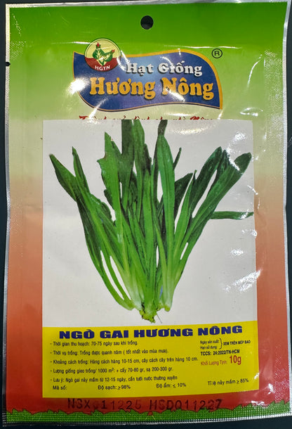 Culantro Seeds (Ngò Gai Hương Nông)