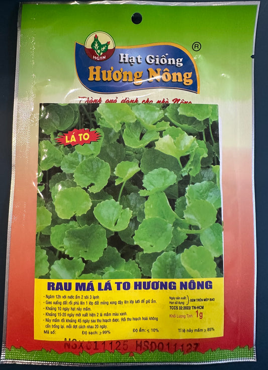 Large-Leaf Pennywort Seeds (Rau Má Lá To Hương Nông)