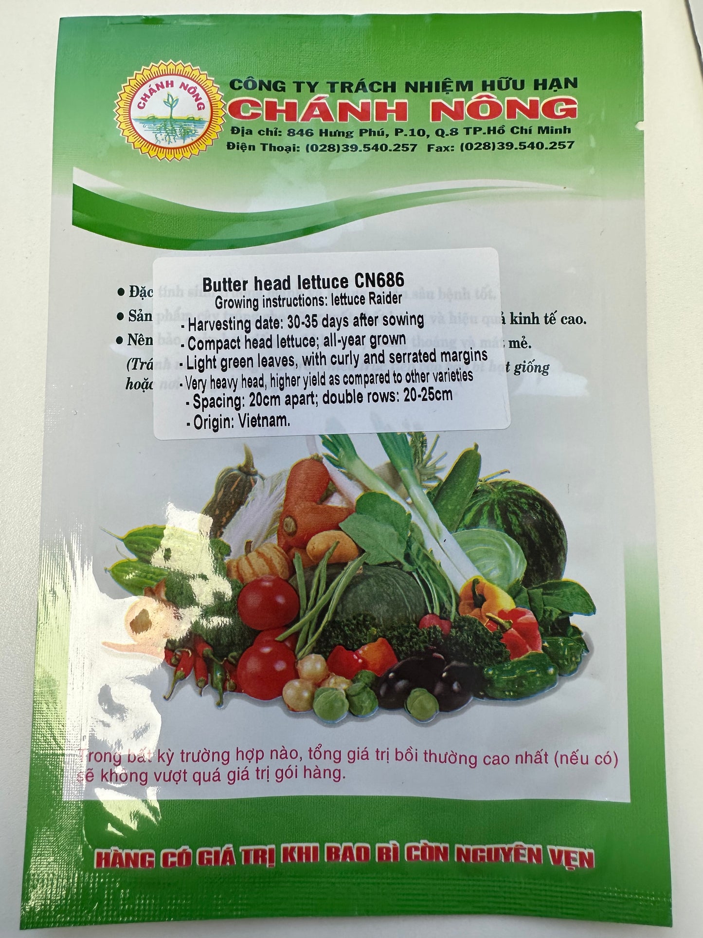Chánh Nông - Butterhead Lettuce Seeds - Raider Plus (CN 686)