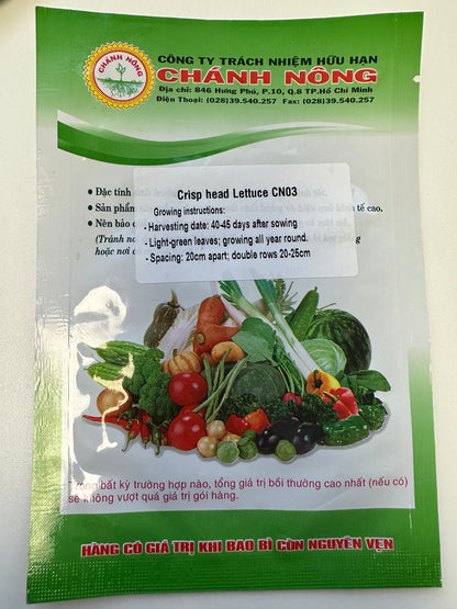 Chánh Nông - Crisp Head Lettuce Seeds (Xà lách Scarole CN 03)