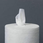 Jumbo Non-woven Dry Disinfectant Wipes Refill Rolls (800 wipes)