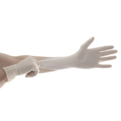 Aurelia Vibrant - Latex Glove, Powder Free (Pack of 100)