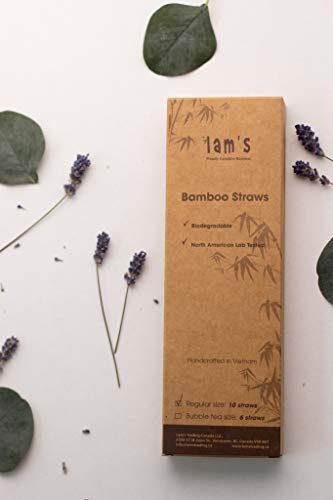 Natural Bamboo Straws | North American Lab Tested | 100% Biodegradable | Naturally Treated | Reusable | Drinking Straws | 10, Regular (d=8mm)