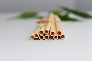 Natural Bamboo Straws | North American Lab Tested | 100% Biodegradable | Naturally Treated | Reusable | Drinking Straws | 10, Regular (d=8mm)