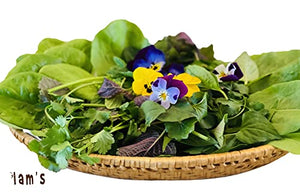 4 pc Set Natural Bamboo Serving Trays | 100% Biodegradable | Naturally Treated | Good for Food, Fruits, Veggies, Bread, Desserts, Cupcakes or Snacks. (h=4, d=23, 25, 28 & 30cm)