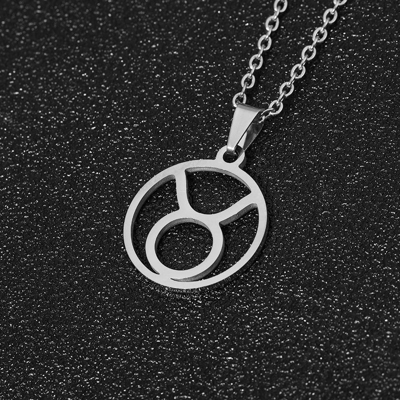 Stainless Steel 12 Horoscope Zodiac Sign Pendant Necklace Gold/Silver color Constellations Men Women Jewelry Gift