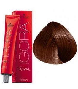 Schwarzkopf Permanent Color  - Igora Royal #6-68 Dark Blonde Chocolate Red