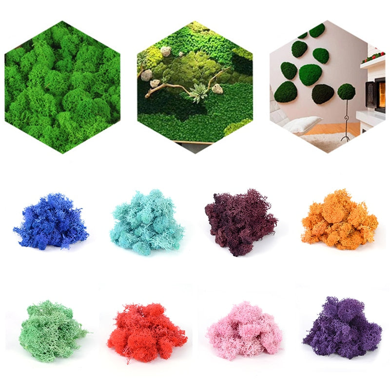 20g 40g Quality Artificial Moss Immortal Moss Simulation Green Plant Grass Home Decorative Wall DIY Micro Landscape Accessories