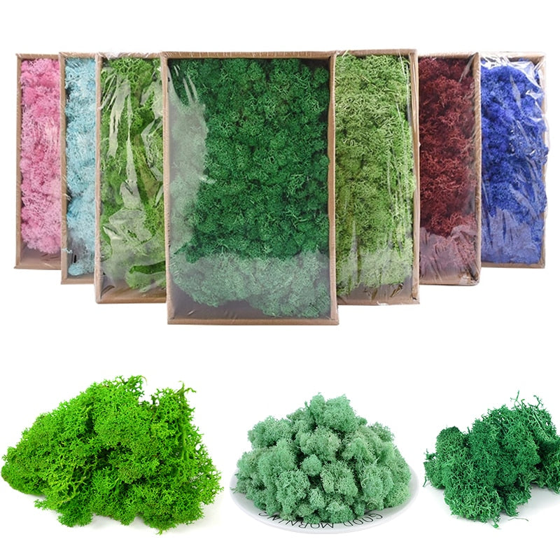 20g 40g Quality Artificial Moss Immortal Moss Simulation Green Plant Grass Home Decorative Wall DIY Micro Landscape Accessories