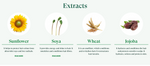 NATURVITAL Permanent Hair Color - Coloursafe