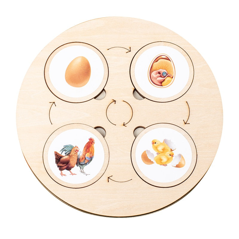 Life Cycle Board Montessori Kit Biology Science Education Toys For Kids Sensory Tray Animal Figure Life Cycle Sorting Wooden Toy